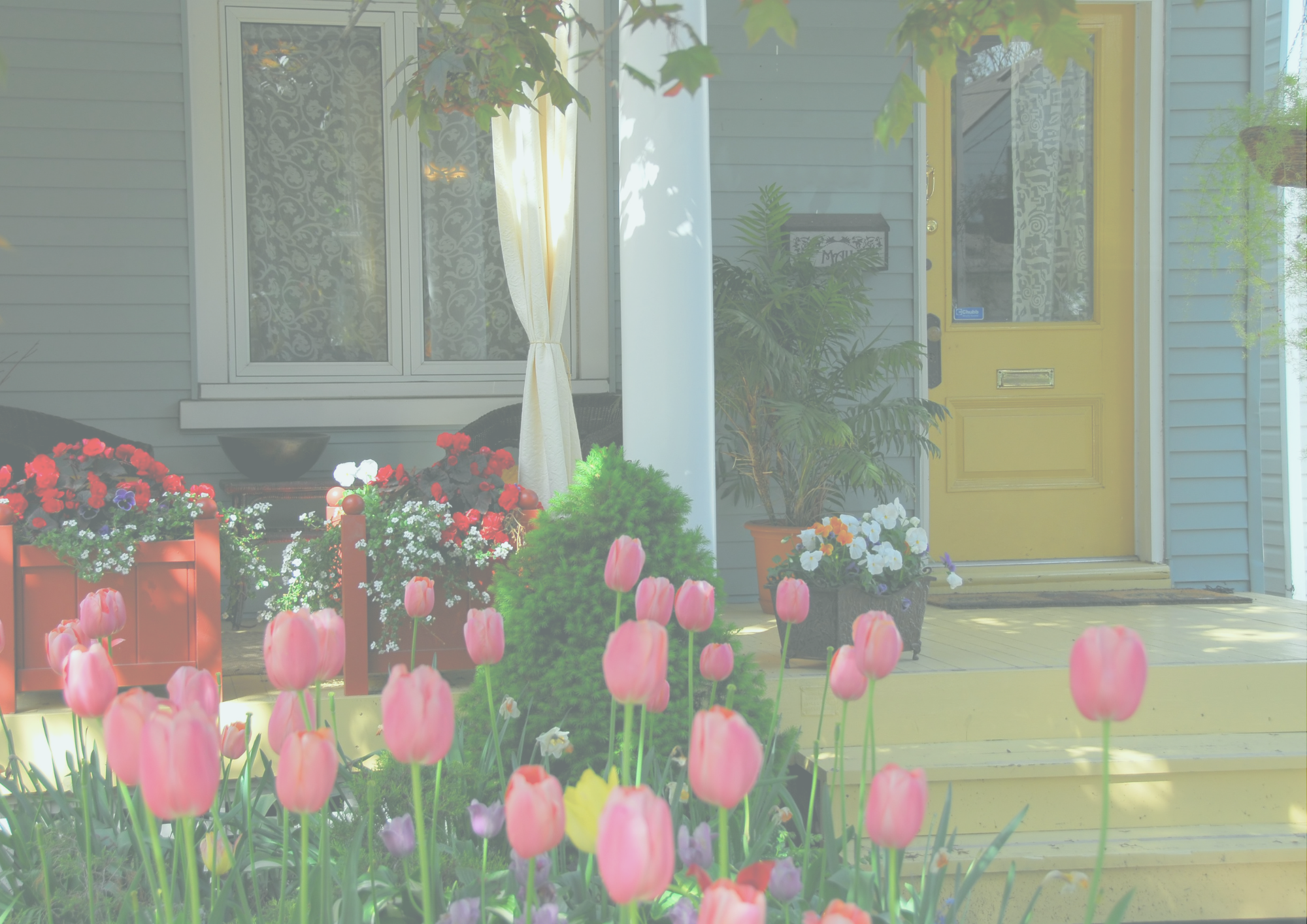 This Memorial Day, Choose Care That Truly Honors Your Loved One